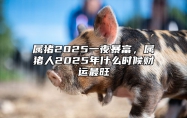 属猪2025一夜暴富，属猪人2025年什么时候财运最旺 2025年属猪的人多少岁