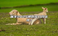 属羊2025横财在几月出现？ 属羊2025年运势及运程每月运程大家找算命网