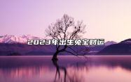 2023年出生兔宝财运 正财运和财神方位分析
