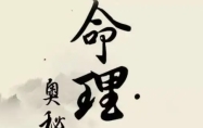 八字从官格局好吗 八字从官格女命特点