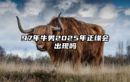 97年牛男2025年正缘会出现吗 97属牛男正缘出现时间