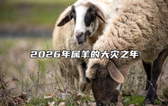 2026年属羊的大灾之年 属羊2025年血光之灾