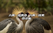 六两一钱男命 六两一钱男命详解