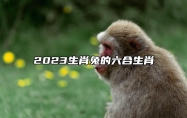 2023生肖兔的六合生肖 文殊菩萨是关键