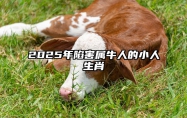 2025年陷害属牛人的小人生肖