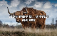 八字中有童子煞，这个对命局影响吗？
