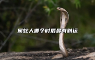 属蛇人哪个时辰最有财运 属蛇什么时辰最有钱