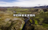 孕妇怀兔宝宝图片 迎接兔宝宝的句子