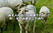 属羊人开店门口朝哪个方向好，羊开店最忌三个地方 属羊人开店门面朝向