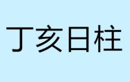 丁亥日柱生于各时辰 丁亥日生于各月口诀