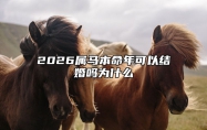 2026属马本命年可以结婚吗为什么 2026年的马