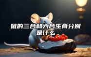 鼠的三合和六合生肖分别是什么 属鼠最佳婚配属相