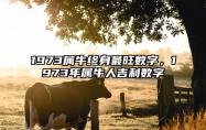 1973属牛终身最旺数字，1973年属牛人吉利数字 1973年属牛吉祥数字几最好