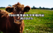 1961年生肖牛今年每月运势2025 1961年的牛今年运势