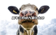 属牛三月初九是什么命 属牛三月初九出生的命运