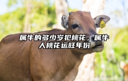 属牛的多少岁犯桃花，属牛人桃花运旺年份 属牛的哪年走桃花运