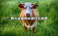 男人走偏财运是什么意思 八字中财星过旺