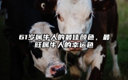 61岁属牛人的最佳颜色，最旺属牛人的幸运色 属牛人什么颜色是幸运色