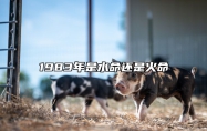 1983年是水命还是火命 83年属猪人42岁过七劫