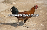 2026年属鸡的大灾之年 2026年属鸡人的全年运势详解