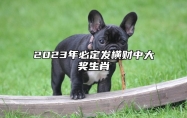 2023年必定发横财中大奖生肖 财神爷偏爱属相