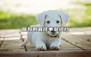 属狗的最佳事业搭档 狗的最佳四个贵人是谁