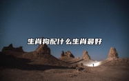 生肖狗配什么生肖最好 属狗配属马成就一段美好姻缘