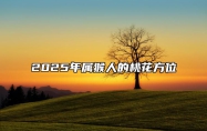 2025年属猴人的桃花方位 92年的猴33岁有一劫
