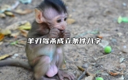 羊刃驾杀成立条件八字 羊刃驾杀从事什么职业