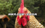 和属鸡人纠缠一生的生肖 2024年属鸡人躲不掉的事