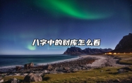 八字中的财库怎么看？