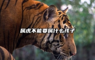 属虎不能要属什么孩子 属虎不宜生子的属相