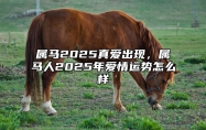 属马2025真爱出现，属马人2025年爱情运势怎么样 属马的2025年运势