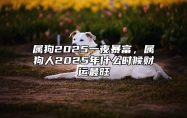 属狗2025一夜暴富，属狗人2025年什么时候财运最旺 生肖狗在2025年的运势以及注意月份