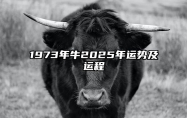 1973年牛2025年运势及运程