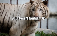 属虎的桃花劫是哪一年 属虎的桃花劫是哪一年出生的