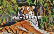 属虎人一生最佳伴侣 属虎人一生最佳伴侣婚配女比男大二岁好吗