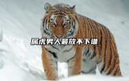 属虎男人最放不下谁 属虎男放不下一个人