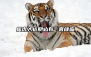 属虎人近期必有一喜降临 属虎人好事将近