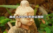 属虎人2025年财运如何 86年属虎人2025年财运如何