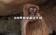 68年猴女最终下场 1968猴2025每月运程