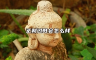 正财过旺会怎么样 正财太旺