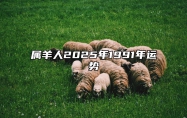 属羊人2025年1991年运势 属羊2025年运势及运程每月运程大家找算命网