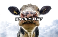 属牛2025几岁了 97年出生属牛人2025年全年运势运程