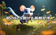 鼠2025跟什么属相犯冲 属鼠的2025年财运各方面怎么样?