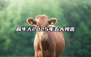 属牛人2025年五大预言