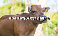 2025属牛天降异象是什么