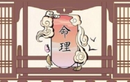 四两八钱男命 四两八钱男命详细解释