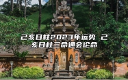 己亥日柱2023年运势 己亥日柱三命通会论命