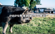 2025年生肖猪1971年运势 1971属猪女2025年